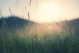 Image Missing
